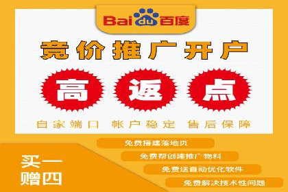 百度推广全解析：某公司如何通过推广获得高流量